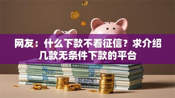 网友：什么下款不看征信？求介绍几款无条件下款的平台