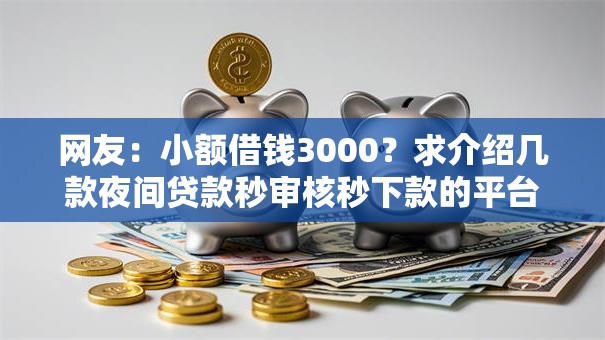 网友：小额借钱3000？求介绍几款夜间贷款秒审核秒下款的平台
