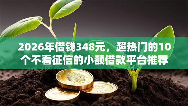 2026年借钱348元，超热门的10个不看征信的小额借款平台推荐