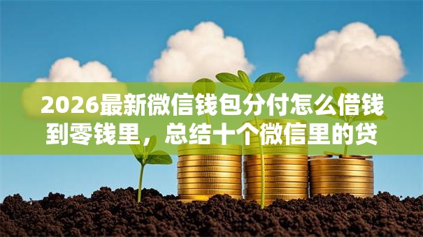 2026最新微信钱包分付怎么借钱到零钱里，总结十个微信里的贷款平台！