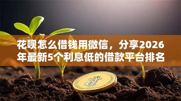 花呗怎么借钱用微信，分享2026年最新5个利息低的借款平台排名不分先后