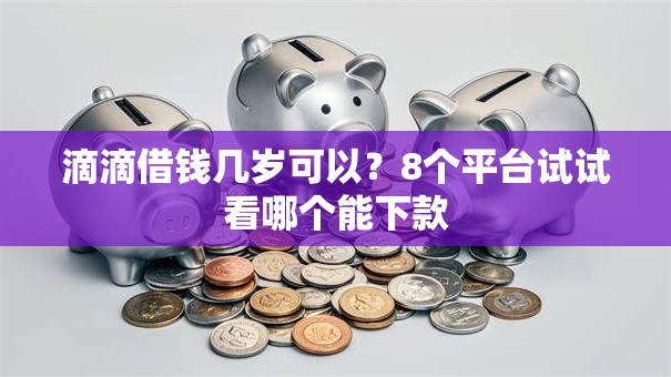 滴滴借钱几岁可以？8个平台试试看哪个能下款
