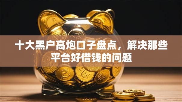 十大黑户高炮口子盘点，解决那些平台好借钱的问题