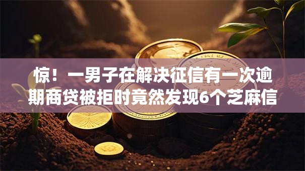 惊！一男子在解决征信有一次逾期商贷被拒时竟然发现6个芝麻信用可以借钱的app，事后分享了出来