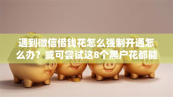 遇到微信借钱花怎么强制开通怎么办？或可尝试这8个黑户花都能下款的平台啊