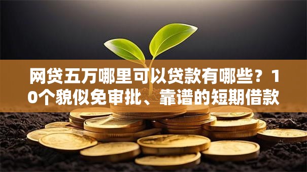 网贷五万哪里可以贷款有哪些？10个貌似免审批、靠谱的短期借款平台合集