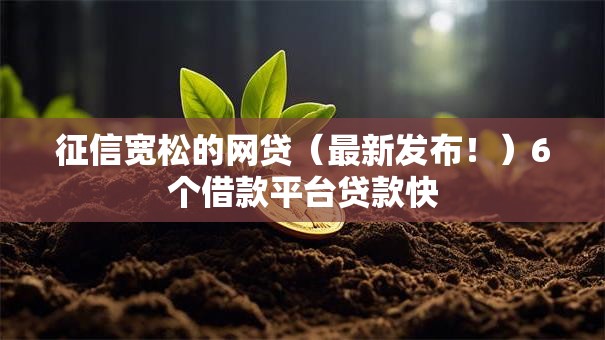 征信宽松的网贷（最新发布！）6个借款平台贷款快