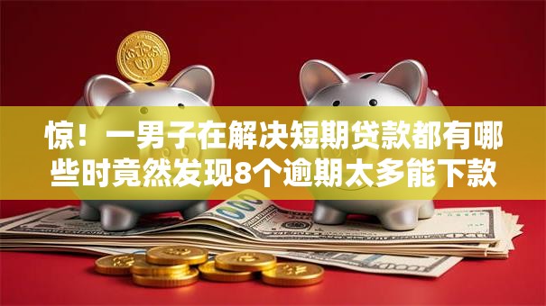 惊！一男子在解决短期贷款都有哪些时竟然发现8个逾期太多能下款口子，事后分享了出来