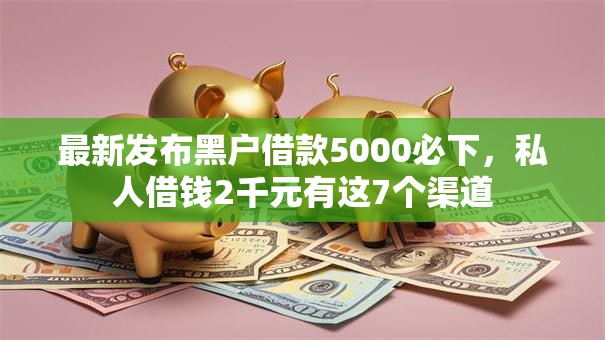 最新发布黑户借款5000必下，私人借钱2千元有这7个渠道