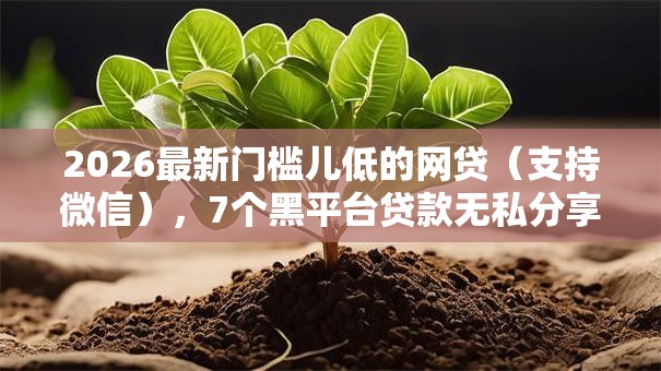 2026最新门槛儿低的网贷（支持微信），7个黑平台贷款无私分享