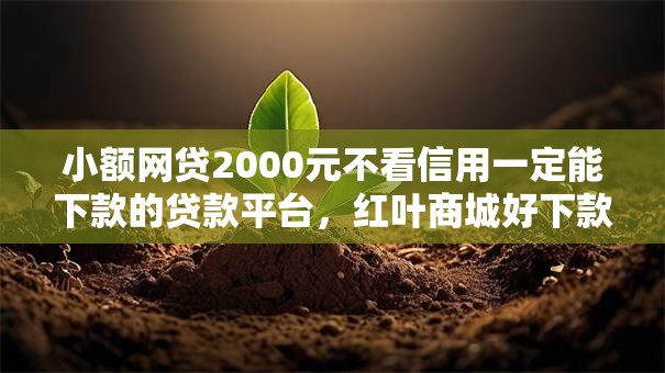 小额网贷2000元不看信用一定能下款的贷款平台，红叶商城好下款吗的6个平台介绍