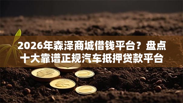 2026年森泽商城借钱平台？盘点十大靠谱正规汽车抵押贷款平台