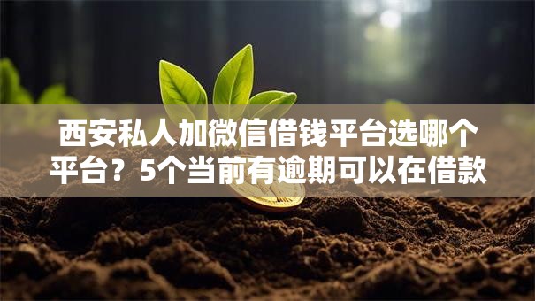 西安私人加微信借钱平台选哪个平台？5个当前有逾期可以在借款平台借钱推荐