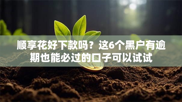 顺享花好下款吗？这6个黑户有逾期也能必过的口子可以试试