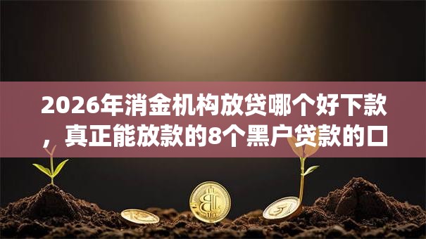 2026年消金机构放贷哪个好下款，真正能放款的8个黑户贷款的口子必下app推荐