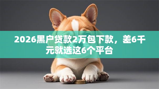 2026黑户贷款2万包下款，差6千元就选这6个平台
