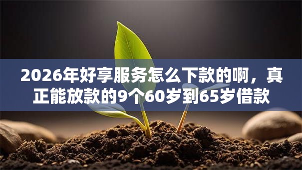 2026年好享服务怎么下款的啊，真正能放款的9个60岁到65岁借款平台推荐