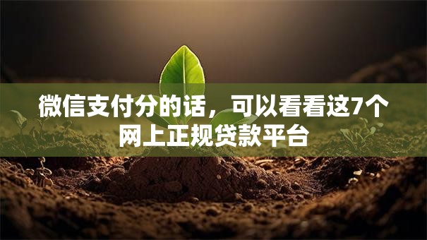 微信支付分的话，可以看看这7个网上正规贷款平台