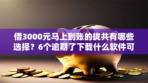 借3000元马上到账的拢共有哪些选择？6个逾期了下载什么软件可以借到钱详解