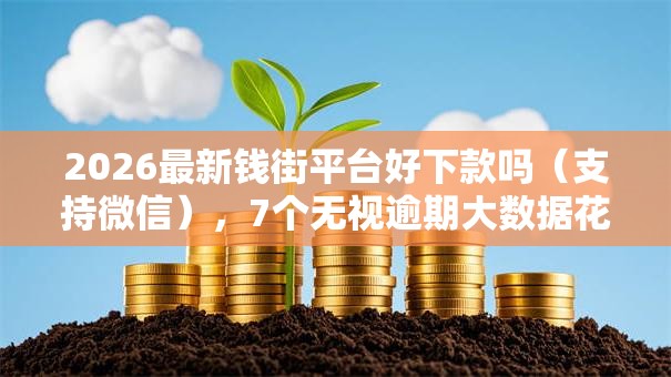 2026最新钱街平台好下款吗（支持微信），7个无视逾期大数据花户黑户平台无私分享