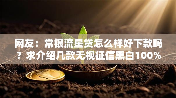 网友：常银流星贷怎么样好下款吗？求介绍几款无视征信黑白100%秒下网贷平台