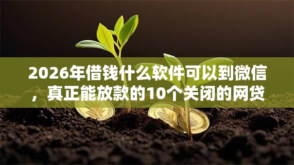 2026年借钱什么软件可以到微信，真正能放款的10个关闭的网贷平台推荐