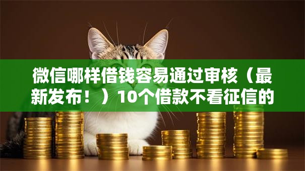 微信哪样借钱容易通过审核（最新发布！）10个借款不看征信的平台