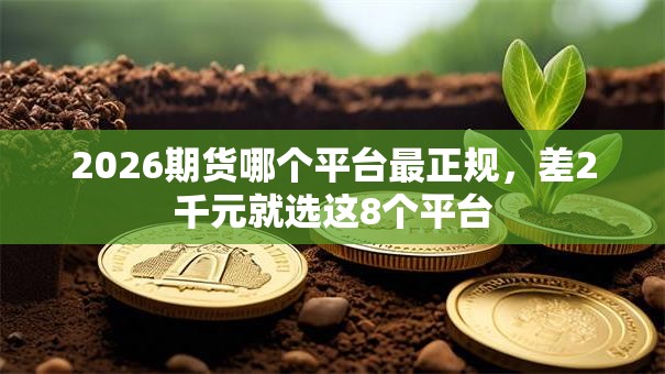 2026期货哪个平台最正规，差2千元就选这8个平台