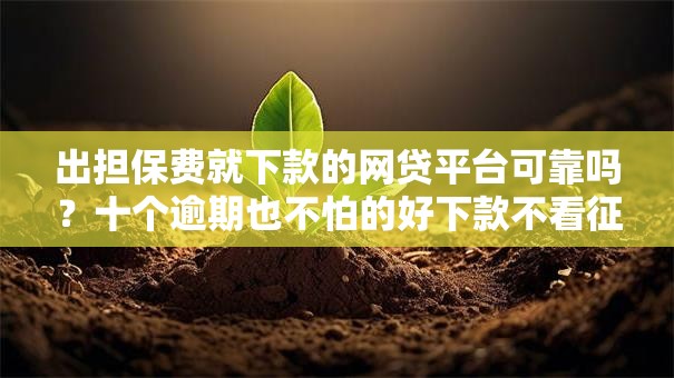 出担保费就下款的网贷平台可靠吗？十个逾期也不怕的好下款不看征信的网贷平台