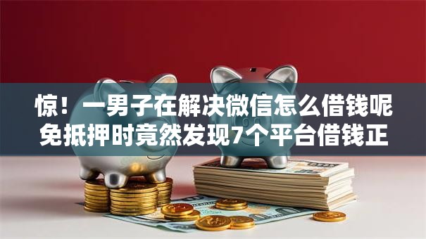 惊！一男子在解决微信怎么借钱呢免抵押时竟然发现7个平台借钱正规，事后分享了出来