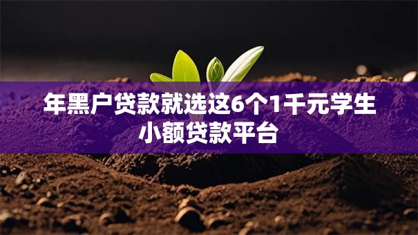 年黑户贷款就选这6个1千元学生小额贷款平台