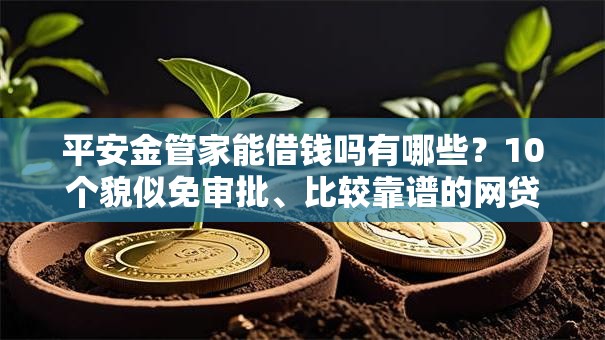 平安金管家能借钱吗有哪些？10个貌似免审批、比较靠谱的网贷平台合集