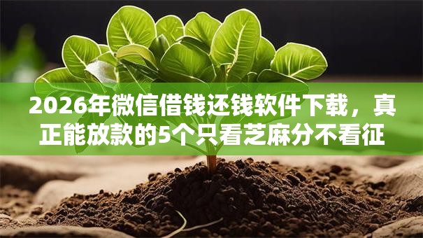 2026年微信借钱还钱软件下载，真正能放款的5个只看芝麻分不看征信的纯线上审批平台推荐