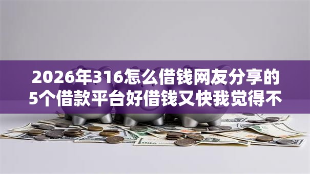 2026年316怎么借钱网友分享的5个借款平台好借钱又快我觉得不错！