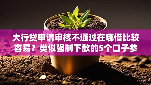 大行贷申请审核不通过在哪借比较容易？类似强制下款的5个口子参考