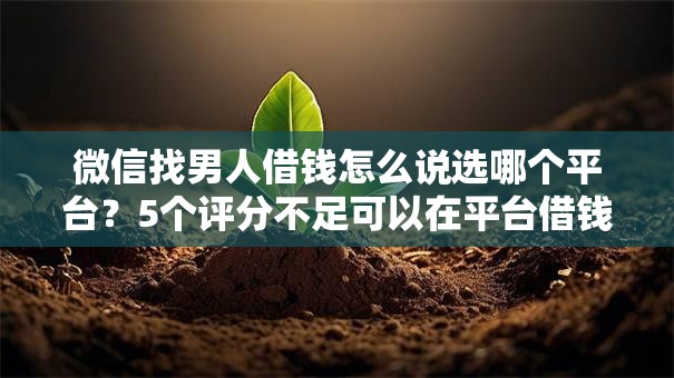 微信找男人借钱怎么说选哪个平台？5个评分不足可以在平台借钱推荐