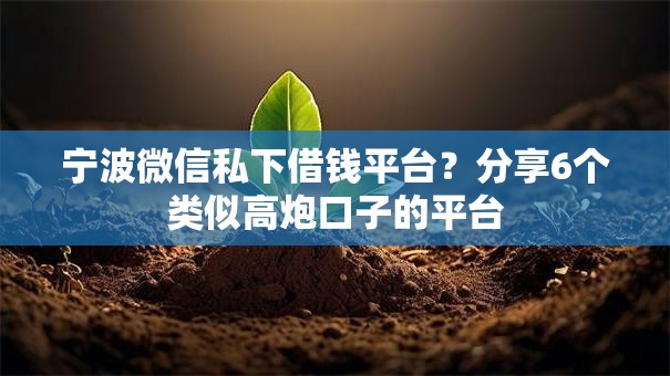 宁波微信私下借钱平台？分享6个类似高炮口子的平台