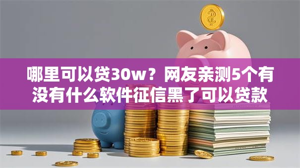 哪里可以贷30w？网友亲测5个有没有什么软件征信黑了可以贷款盘点