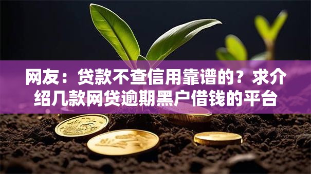 网友：贷款不查信用靠谱的？求介绍几款网贷逾期黑户借钱的平台能借