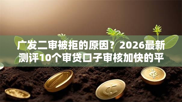 广发二审被拒的原因？2026最新测评10个审贷口子审核加快的平台