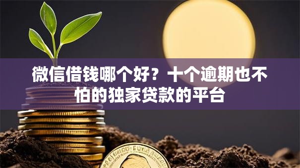 微信借钱哪个好？十个逾期也不怕的独家贷款的平台