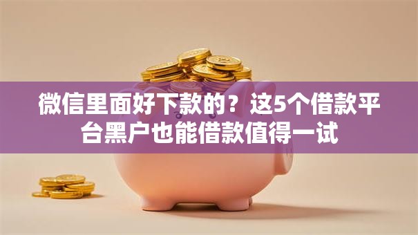 微信里面好下款的？这5个借款平台黑户也能借款值得一试