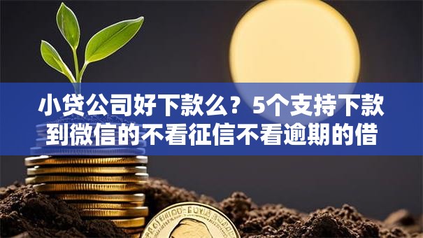 小贷公司好下款么？5个支持下款到微信的不看征信不看逾期的借钱平台