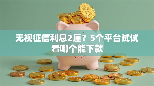 无视征信利息2厘？5个平台试试看哪个能下款