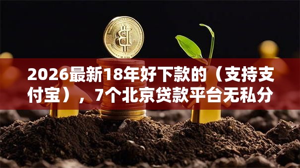 2026最新18年好下款的(支持支付宝),7个北京贷款平台无私分享 2026最新18年好下款的(支持支付宝),7个北京贷款平台无私分享