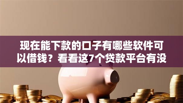 现在能下款的口子有哪些软件可以借钱？看看这7个贷款平台有没有能下款的