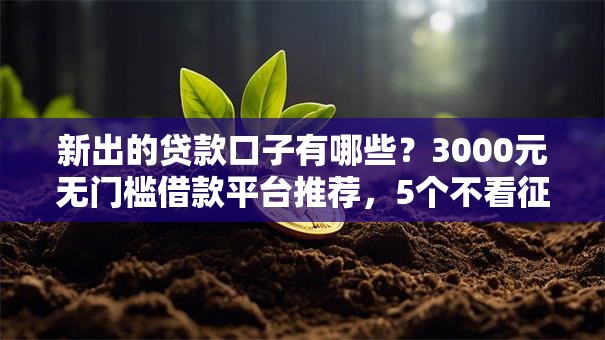 新出的贷款口子有哪些？3000元无门槛借款平台推荐，5个不看征信的借款平台百分百盘点
