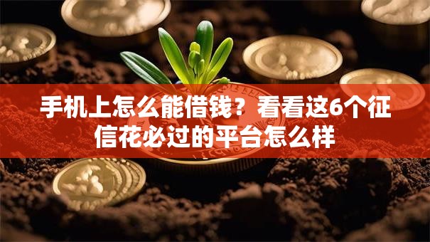 手机上怎么能借钱？看看这6个征信花必过的平台怎么样