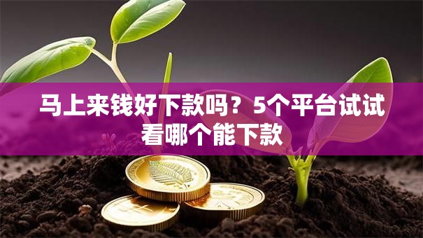 马上来钱好下款吗？5个平台试试看哪个能下款