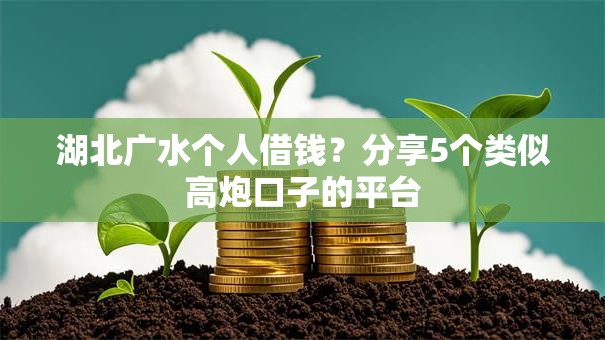湖北广水个人借钱？分享5个类似高炮口子的平台